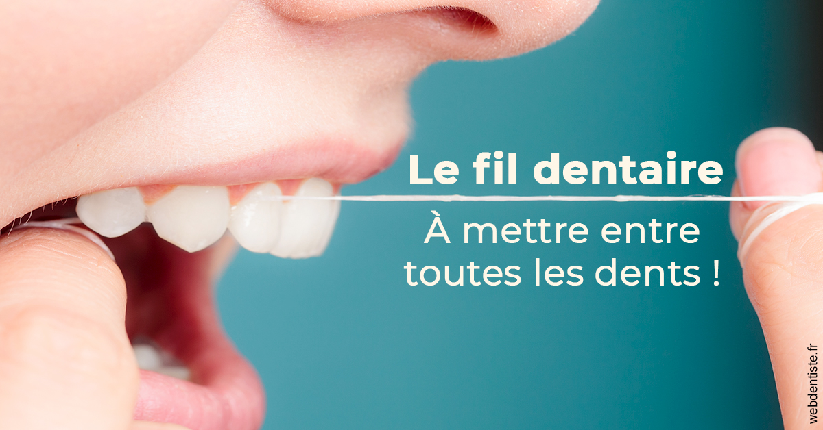 https://selarl-druet-philippe.chirurgiens-dentistes.fr/Le fil dentaire 2