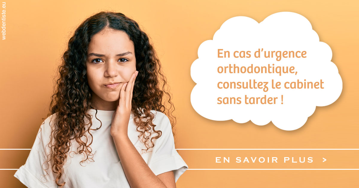 https://selarl-druet-philippe.chirurgiens-dentistes.fr/Urgence orthodontique 2