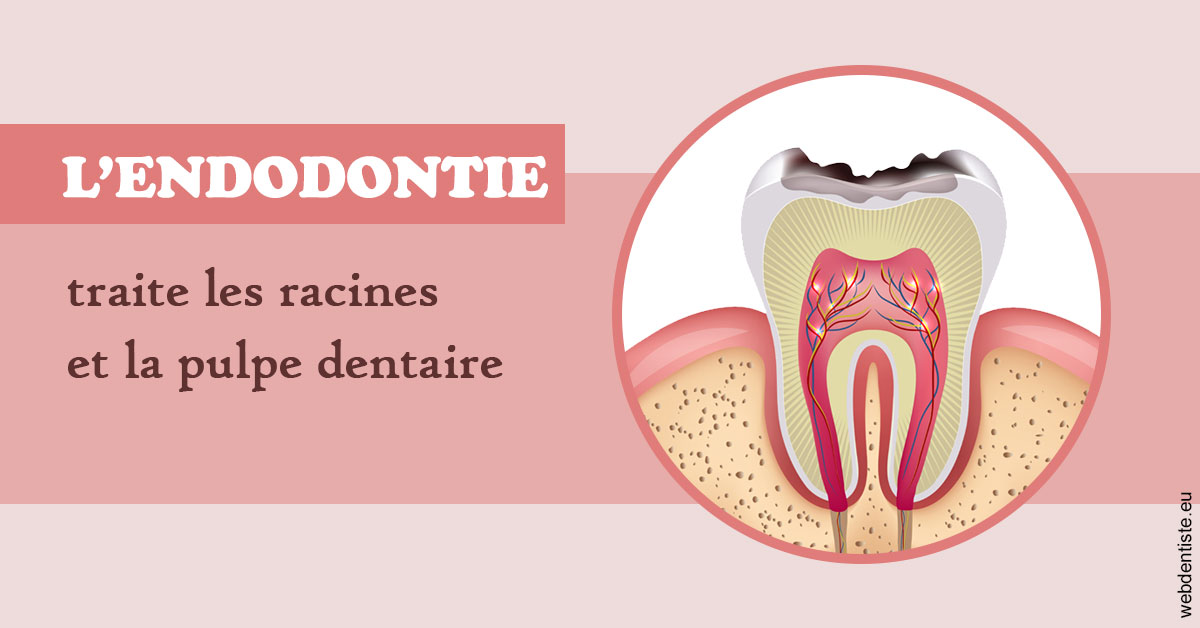 https://selarl-druet-philippe.chirurgiens-dentistes.fr/L'endodontie 2