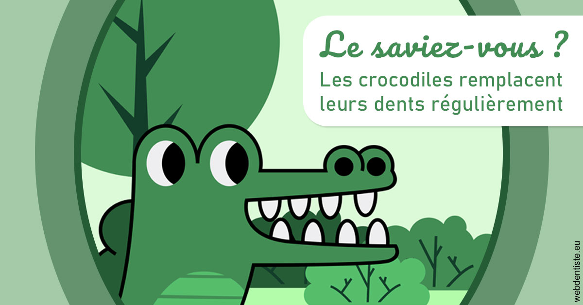 https://selarl-druet-philippe.chirurgiens-dentistes.fr/Crocodiles 2