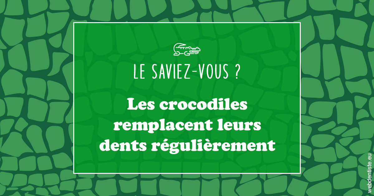 https://selarl-druet-philippe.chirurgiens-dentistes.fr/Crocodiles 1